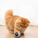 Brinquedo Inteligente para Cães e Gatos - Bolinha Smart - Movimento Pet