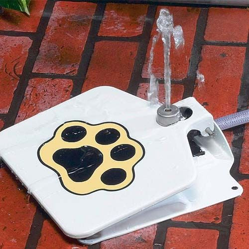 Bebedouro Brinquedo Fonte Divertida – Água Fresca ao Acionar a Pata