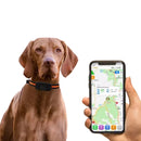 Coleira GPS 4G para Cães com Rastreamento em Tempo Real