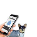 Coleira GPS 4G para Cães com Rastreamento em Tempo Real