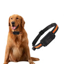 Coleira GPS 4G para Cães com Rastreamento em Tempo Real