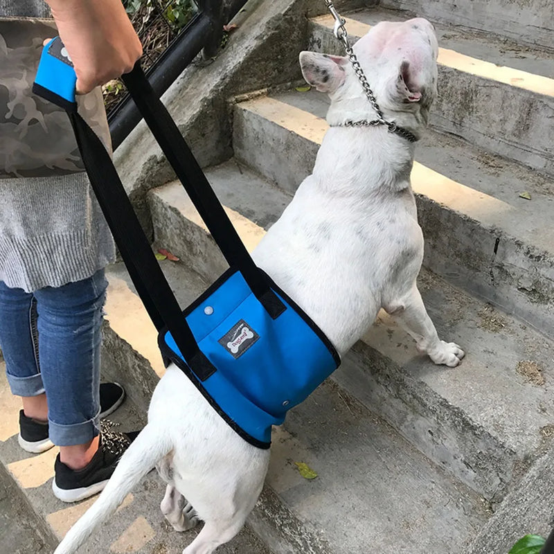 Arnês de Suporte DogLift Auxílio Mobilidade Conforto