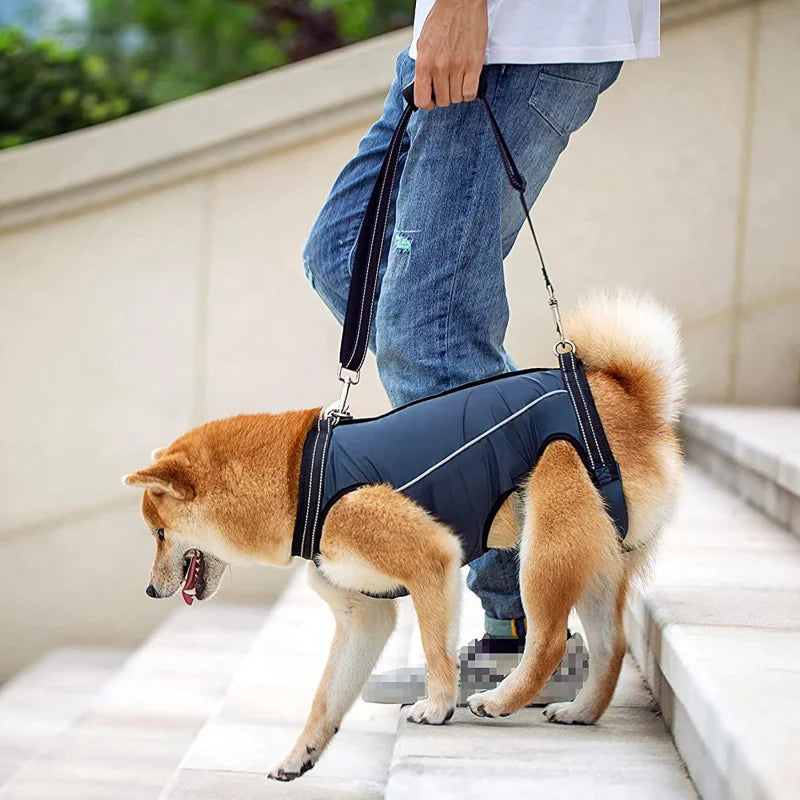 Arnês de Suporte para Cães Auxílio Mobilidade Conforto