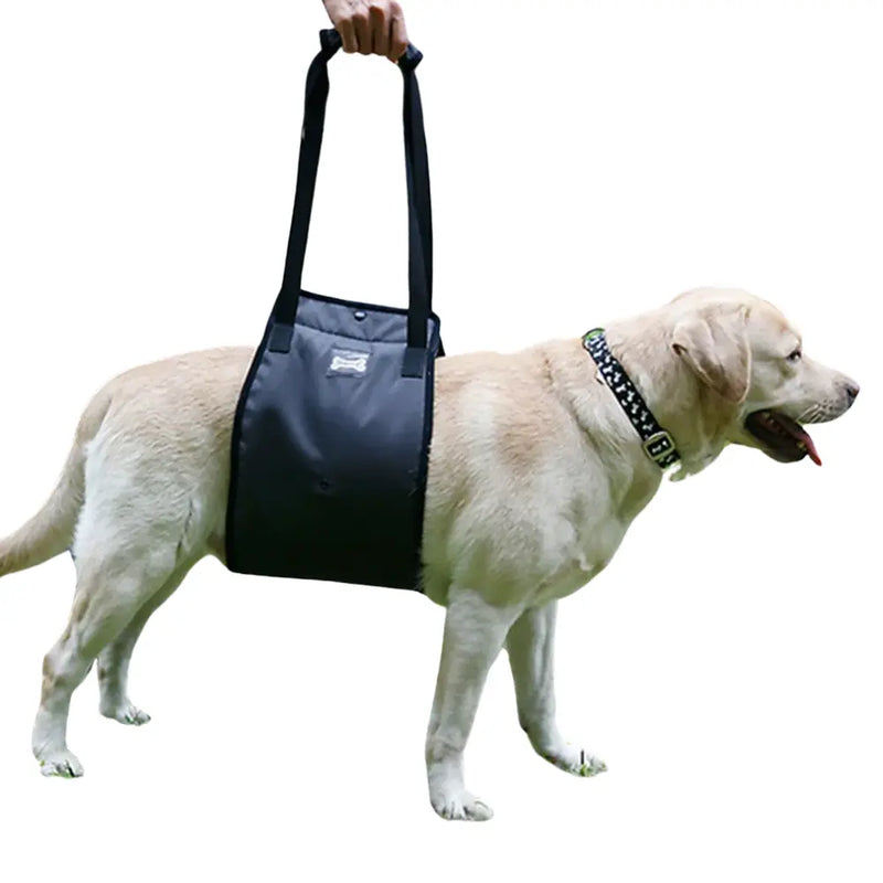 Arnês de Suporte DogLift Auxílio Mobilidade Conforto
