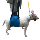 Arnês de Suporte DogLift Auxílio Mobilidade Conforto
