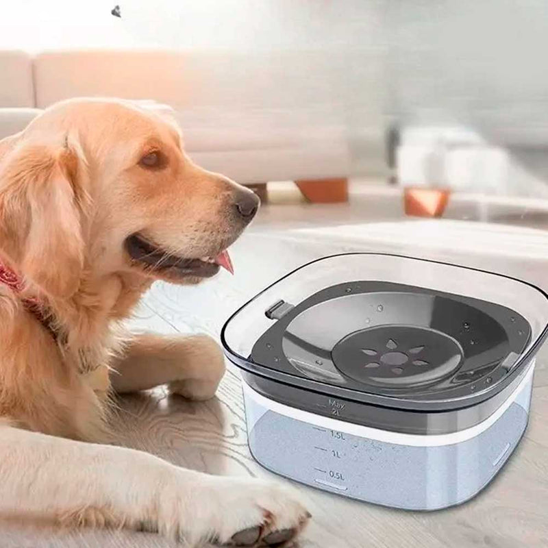 Bebedouro Anti-Respingo Inteligente para Cães Peludos 2L