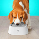 Bebedouro Inteligente Anti-Respingos para Cães e Gatos - Capacidade 1,5L