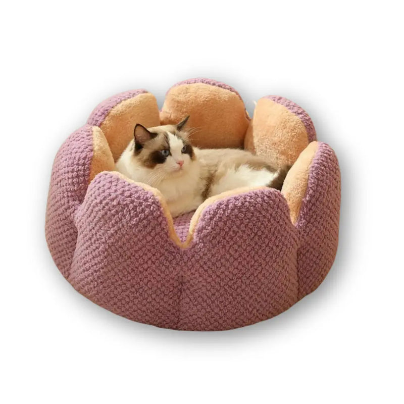 Cama Lotus para Gatos - Conforto e Segurança em Formato de Flor