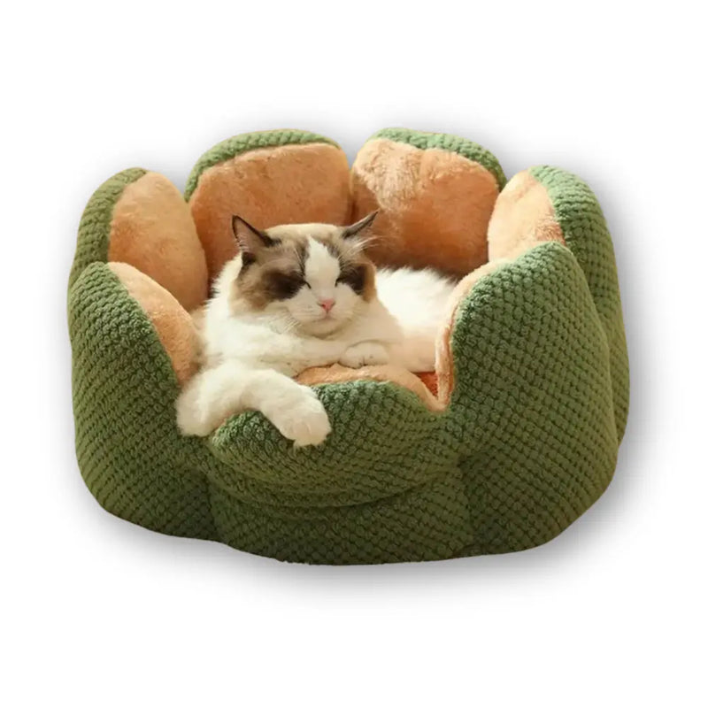Cama Lotus para Gatos - Conforto e Segurança em Formato de Flor