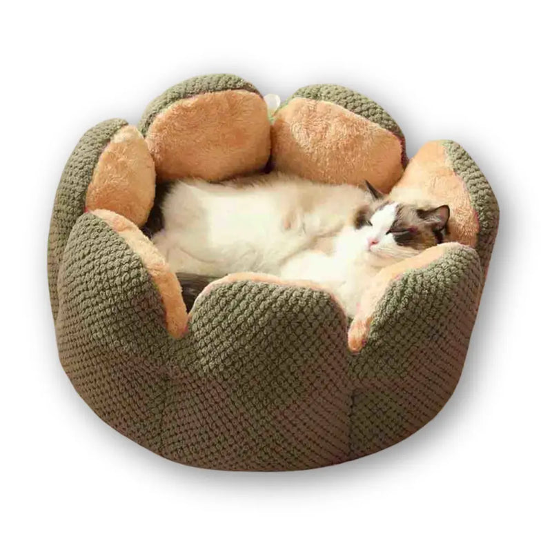 Cama Lotus para Gatos - Conforto e Segurança em Formato de Flor