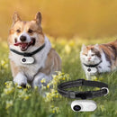 Câmera HD 1080P com Coleira Pet - Visão 120° - Grava Vídeo - para Cães e Gatos