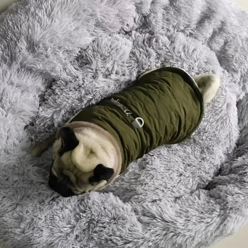 Casaco Impermeável Cão Pequeno Gola Pele - Lã Quente Inverno