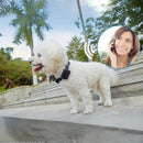 Coleira com GPS para Cães e Gatos - Rastreamento em Tempo Real