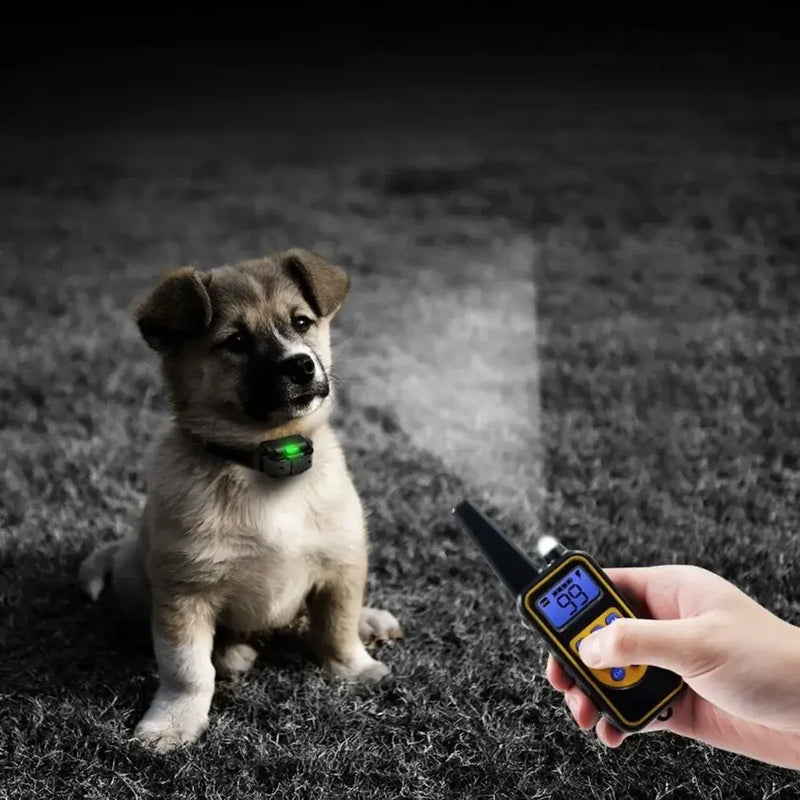 Coleira de Adestramento Recarregável para Cães - 3 Modos de Treinamento