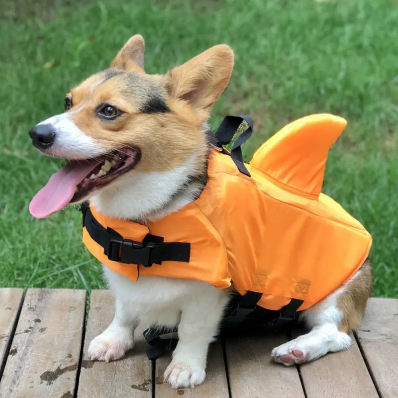 Colete Salva Vidas Baby SharkPet para Cães - Design de Tubarão