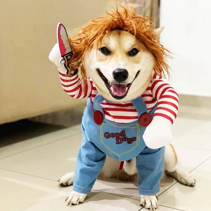 Fantasia Chucky Cachorro Halloween - Roupa Terror Pet Confortável
