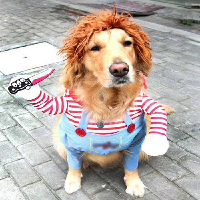 Fantasia Chucky Cachorro Halloween - Roupa Terror Pet Confortável