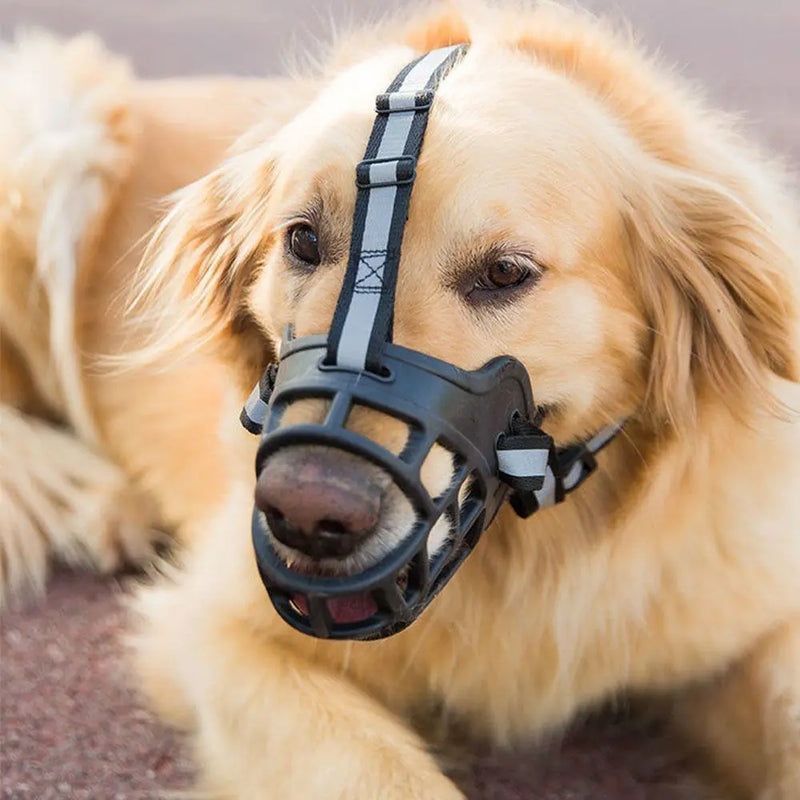 Focinheira Ultra Macia para Cães - Design Anatômico - Permite Respiração