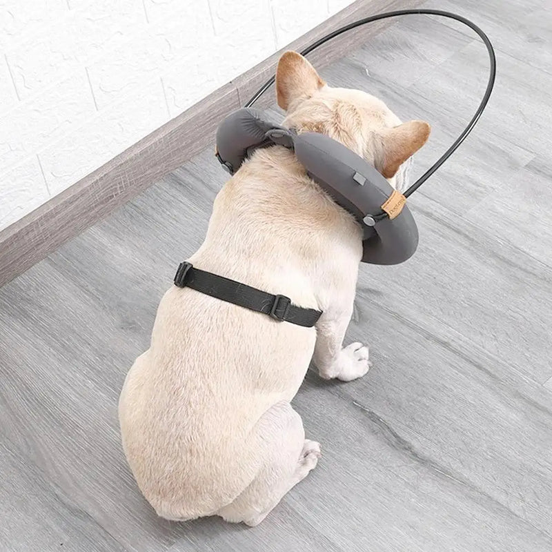 Guia Anticolisão para Cães com Perda de Visão Segurança e Confiança