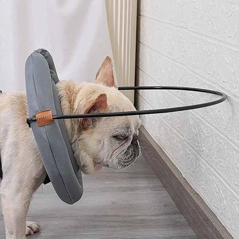 Guia Anticolisão para Cães com Perda de Visão Segurança e Confiança