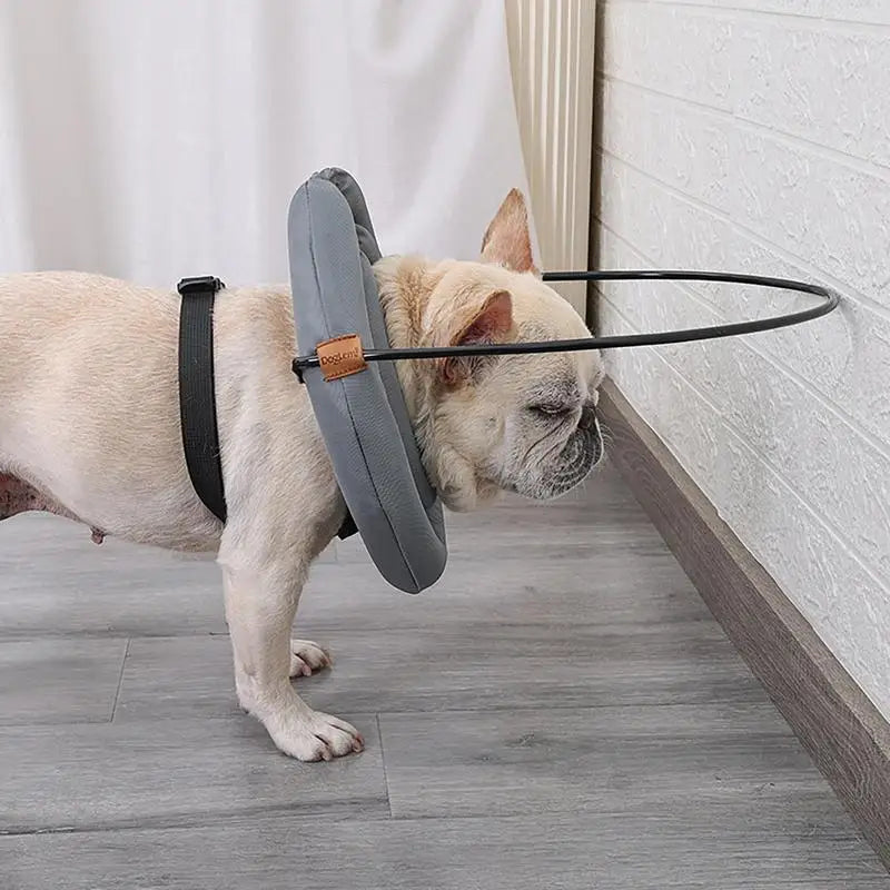 Guia Anticolisão para Cães com Perda de Visão Segurança e Confiança