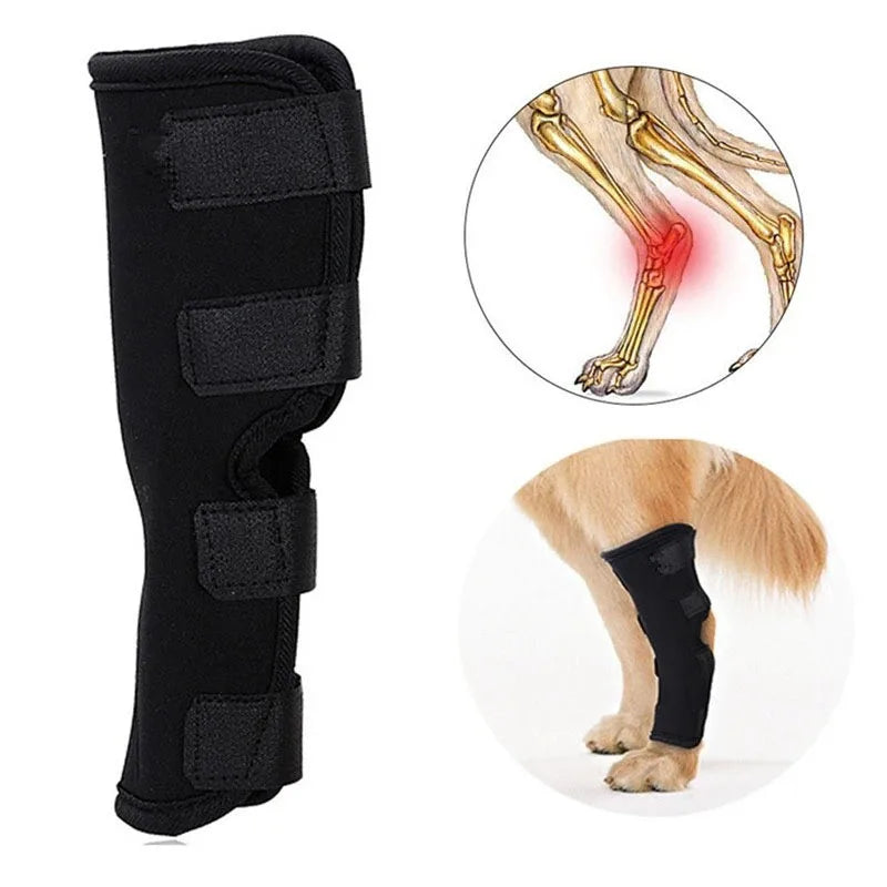 Joelheira de Suporte Canino Alívio Dor Articulação