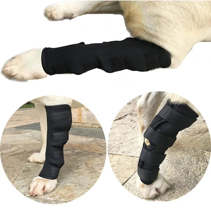 Joelheira de Suporte Canino Alívio Dor Articulação