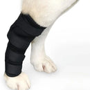 Joelheira de Suporte Canino Alívio Dor Articulação