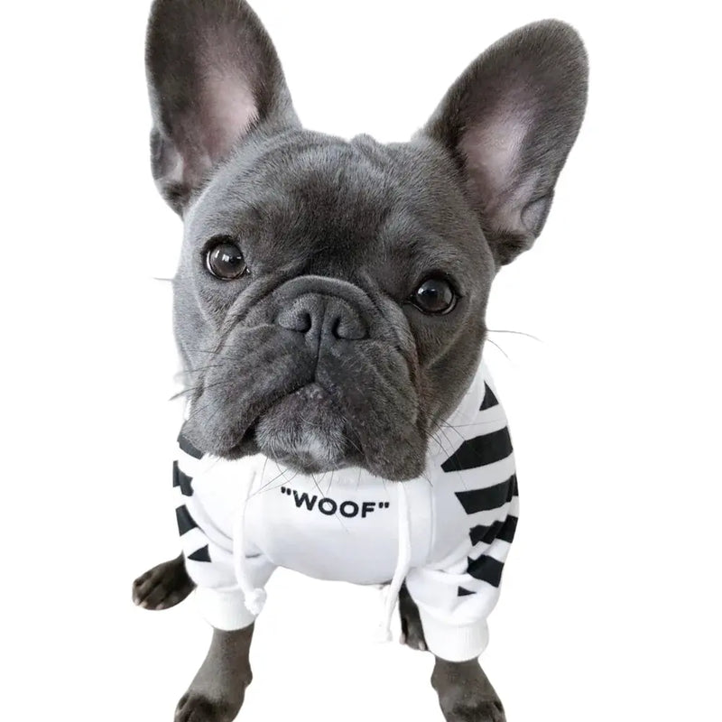 Moletom Confortável para Cachorro Dog Woof Algodão