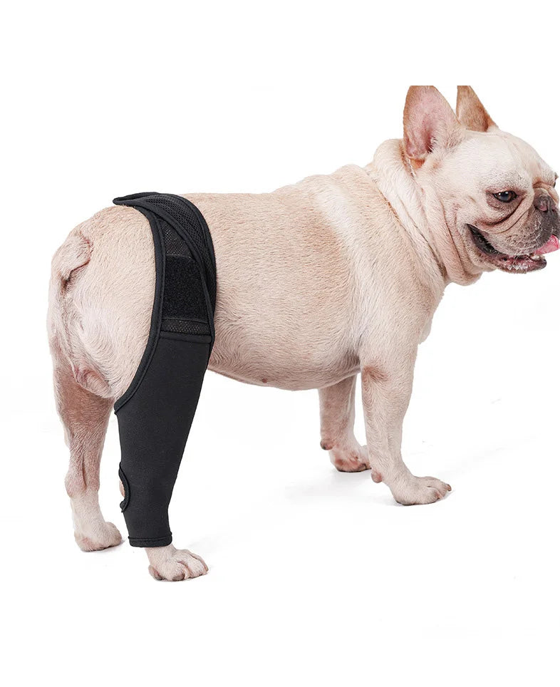 Protetor de Articulação para Cães Alívio Dor Recuperação