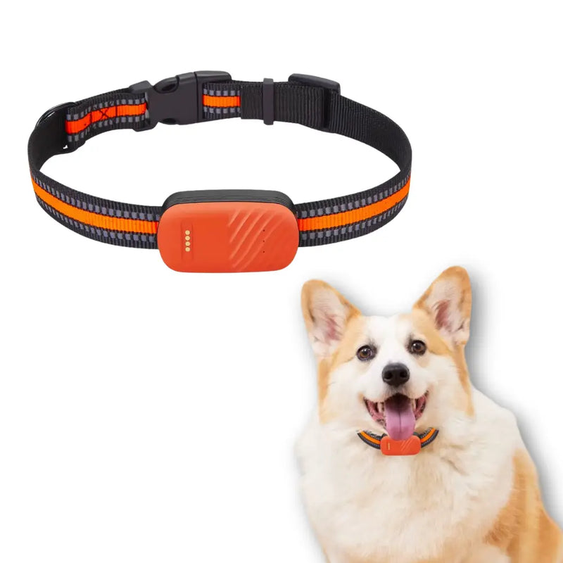 Rastreador GPS 4G para Pets - Localizador à Prova d'Água com Cerca Eletrônica e Alarme