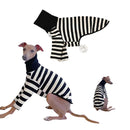 Roupa Listrada Elegante para Galgos - Conforto e Estilo
