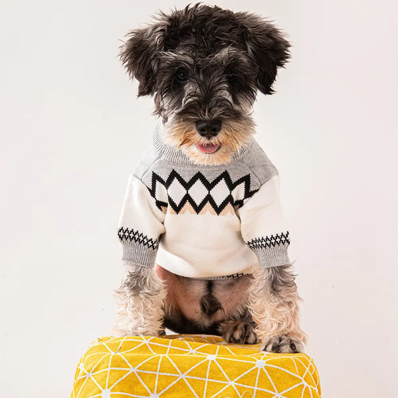 Roupa de Cachorro de Malha Pawda - Blusa Fashion para Cães