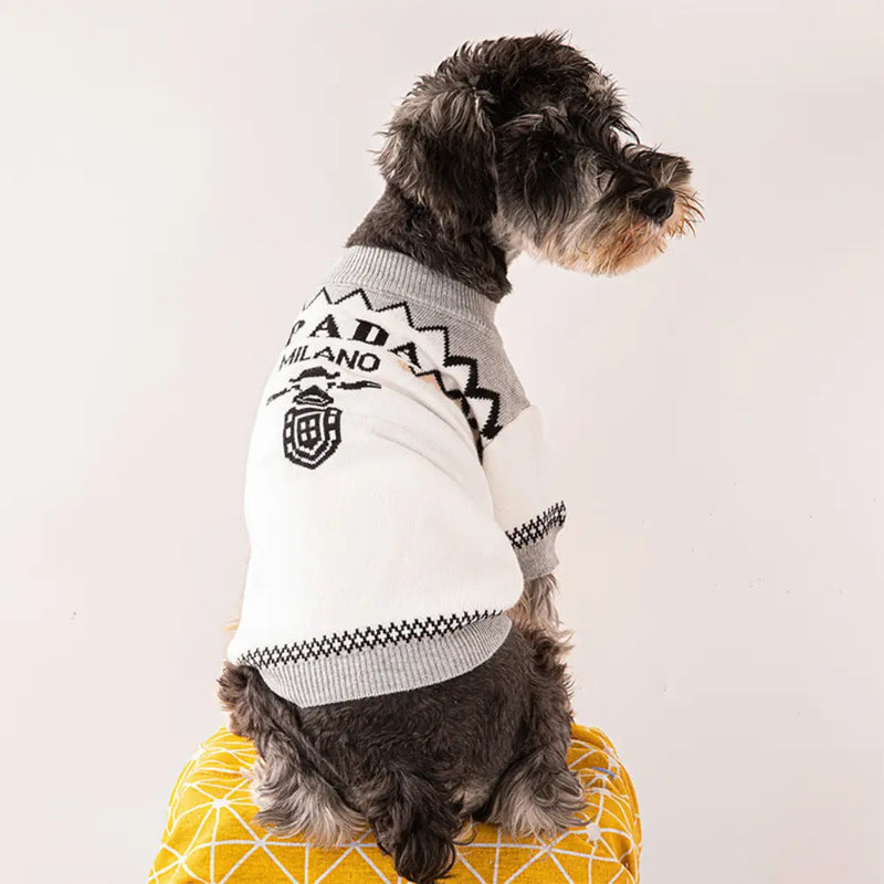 Roupa de Cachorro de Malha Pawda - Blusa Fashion para Cães