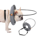 Guia Anticolisão para Cães com Perda de Visão Segurança e Confiança