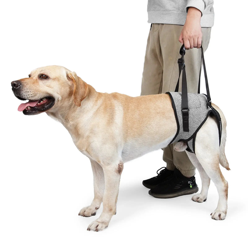 Sling de Suporte Conforto para Cães Auxílio Mobilidade