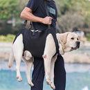 Sling de Suporte Canino Auxílio Mobilidade Conforto