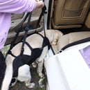 Sling de Suporte Canino Auxílio Mobilidade Conforto