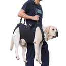 Sling de Suporte Canino Auxílio Mobilidade Conforto