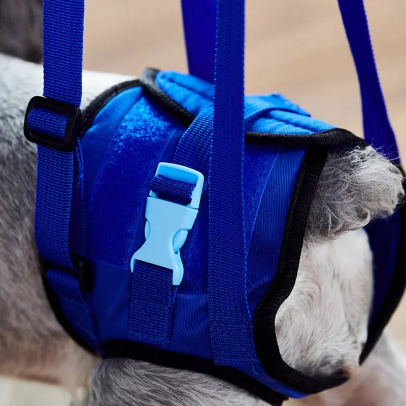 Suporte para Patas Traseiras Pet Auxílio Mobilidade Conforto