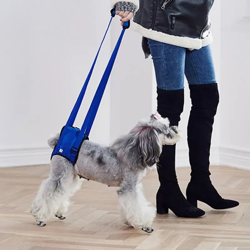 Suporte para Patas Traseiras Pet Auxílio Mobilidade Conforto