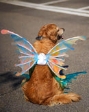 Asas de Borboleta Pet Brilhante