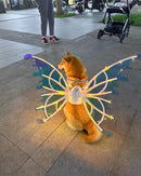 Asas de Borboleta Pet Brilhante