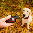 Coleira Anti Latido E Adestramento - Bark Off - Movimento Pet