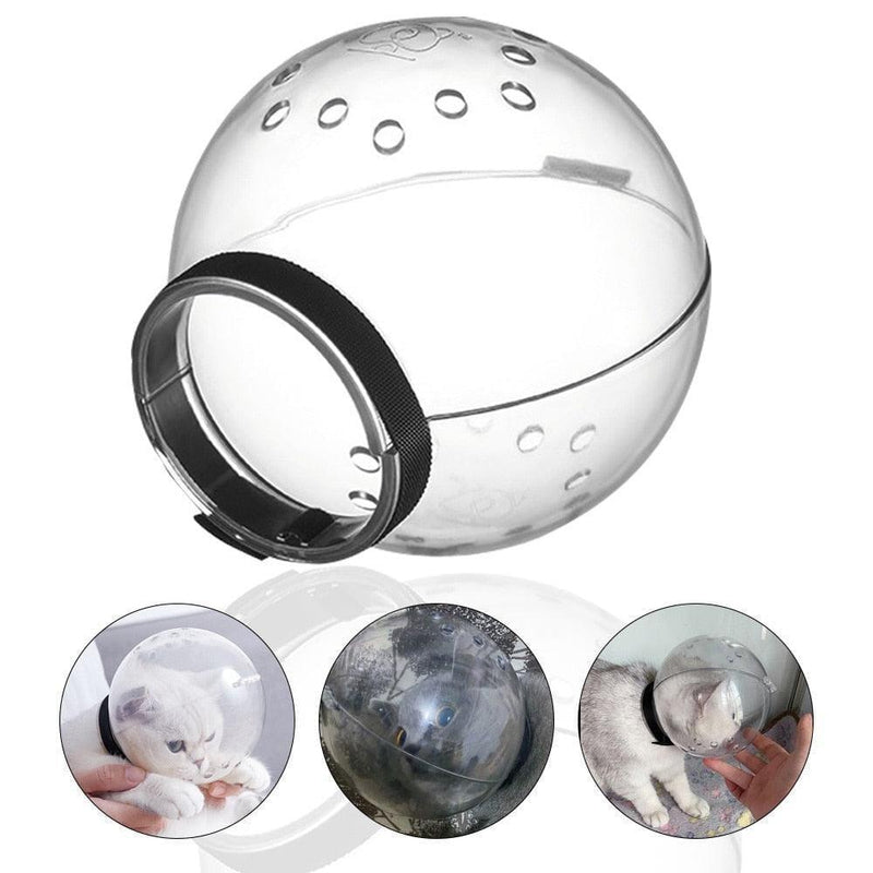 Focinheira Capacete Anti-Mordida para Cães e Gatos - Movimento Pet 