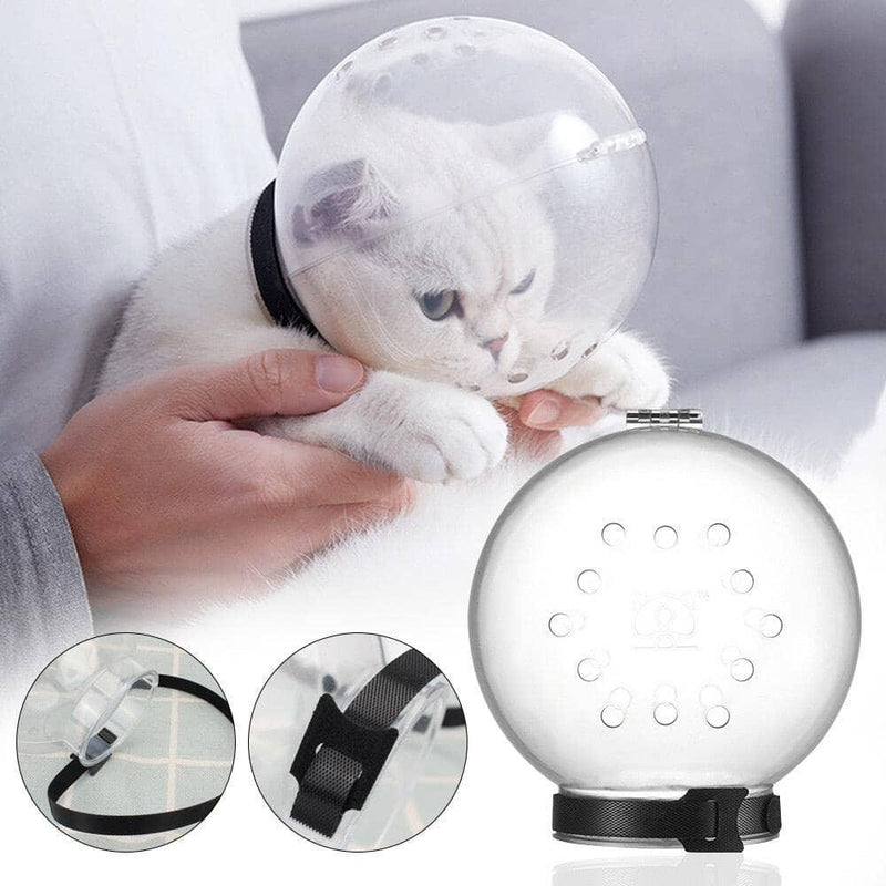 Focinheira Capacete Anti-Mordida para Cães e Gatos - Movimento Pet 