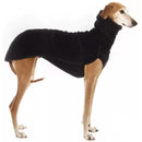 Roupa para Cachorro Galgo - Movimento Pet 