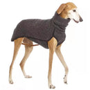 Roupa para Cachorro Galgo - Movimento Pet 